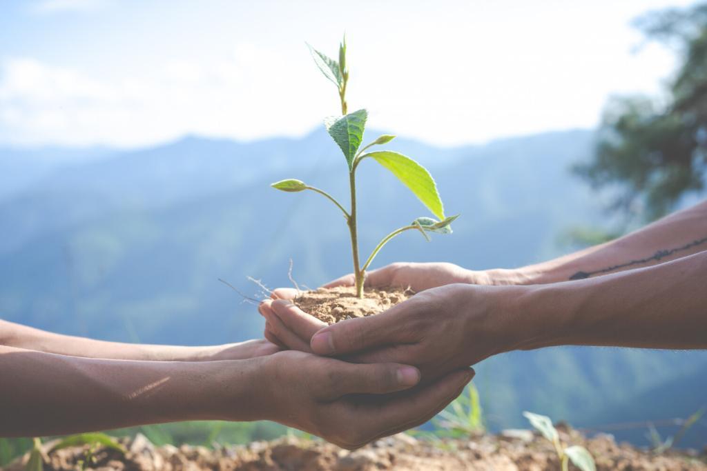 Onderzoek toont consequent aan dat organisaties die prioriteit geven aan het welzijn van werknemers een hogere mate van betrokkenheid, een lager personeelsverloop en een hogere productiviteit ervaren. Tot slot, door prioriteit te geven aan geestelijke gezondheid op het werk, creëren we een omgeving waarin individuen kunnen gedijen, verandering kunnen omarmen en hun volledige potentieel kunnen bereiken. Welcome Change zet zich in voor de bevordering van geestelijke gezondheid op de werkplek, en zorgt ervoor dat organisaties en individuen verandering met open armen verwelkomen en er een kans op groei, succes en een bloeiende toekomst van maken. 